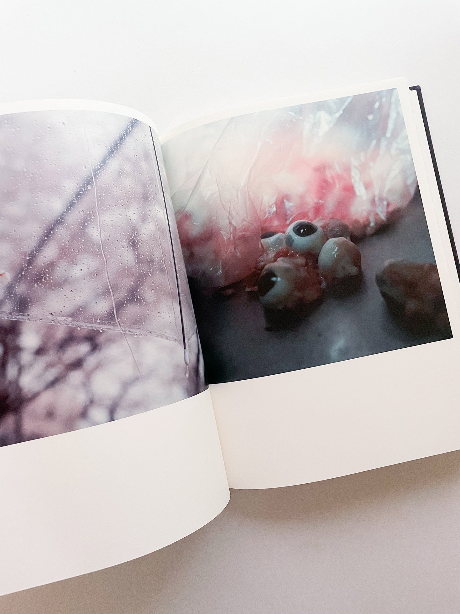 Illuminance: The 10th Anniversary Edition / Rinko Kawauchi