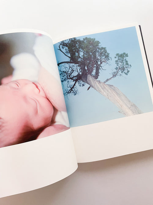 Illuminance: The 10th Anniversary Edition / Rinko Kawauchi