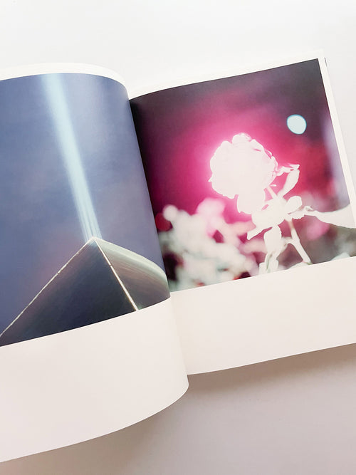 Illuminance: The 10th Anniversary Edition / Rinko Kawauchi
