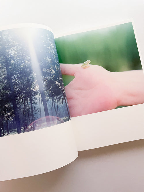 Illuminance: The 10th Anniversary Edition / Rinko Kawauchi