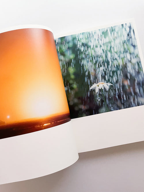 Illuminance: The 10th Anniversary Edition / Rinko Kawauchi