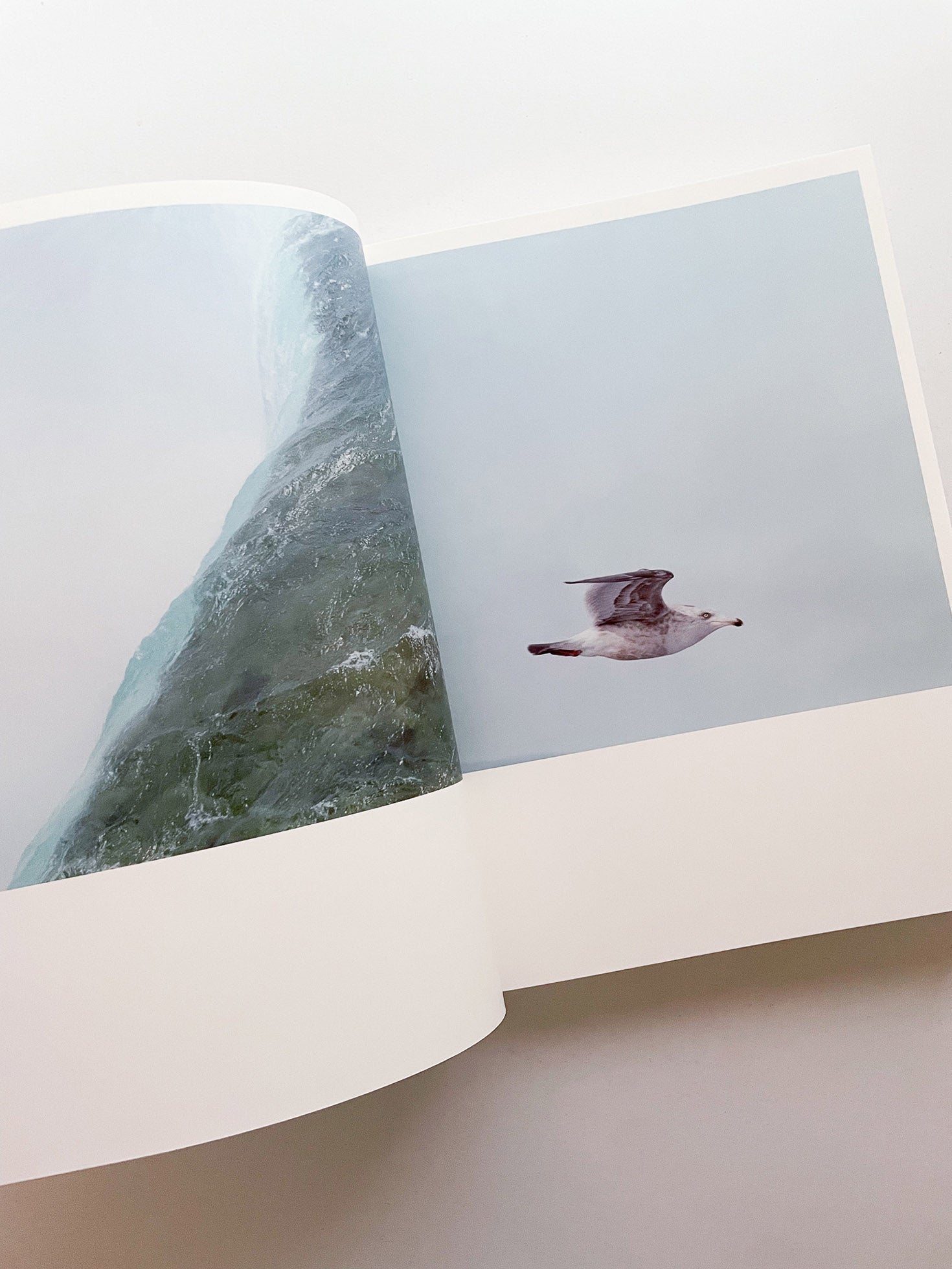 Illuminance: The 10th Anniversary Edition / Rinko Kawauchi