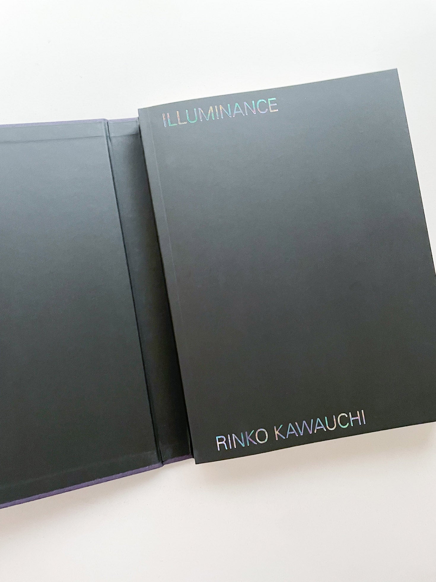 Illuminance: The 10th Anniversary Edition / Rinko Kawauchi