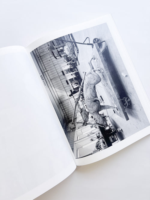 Studio Snapshots / Mark Manders