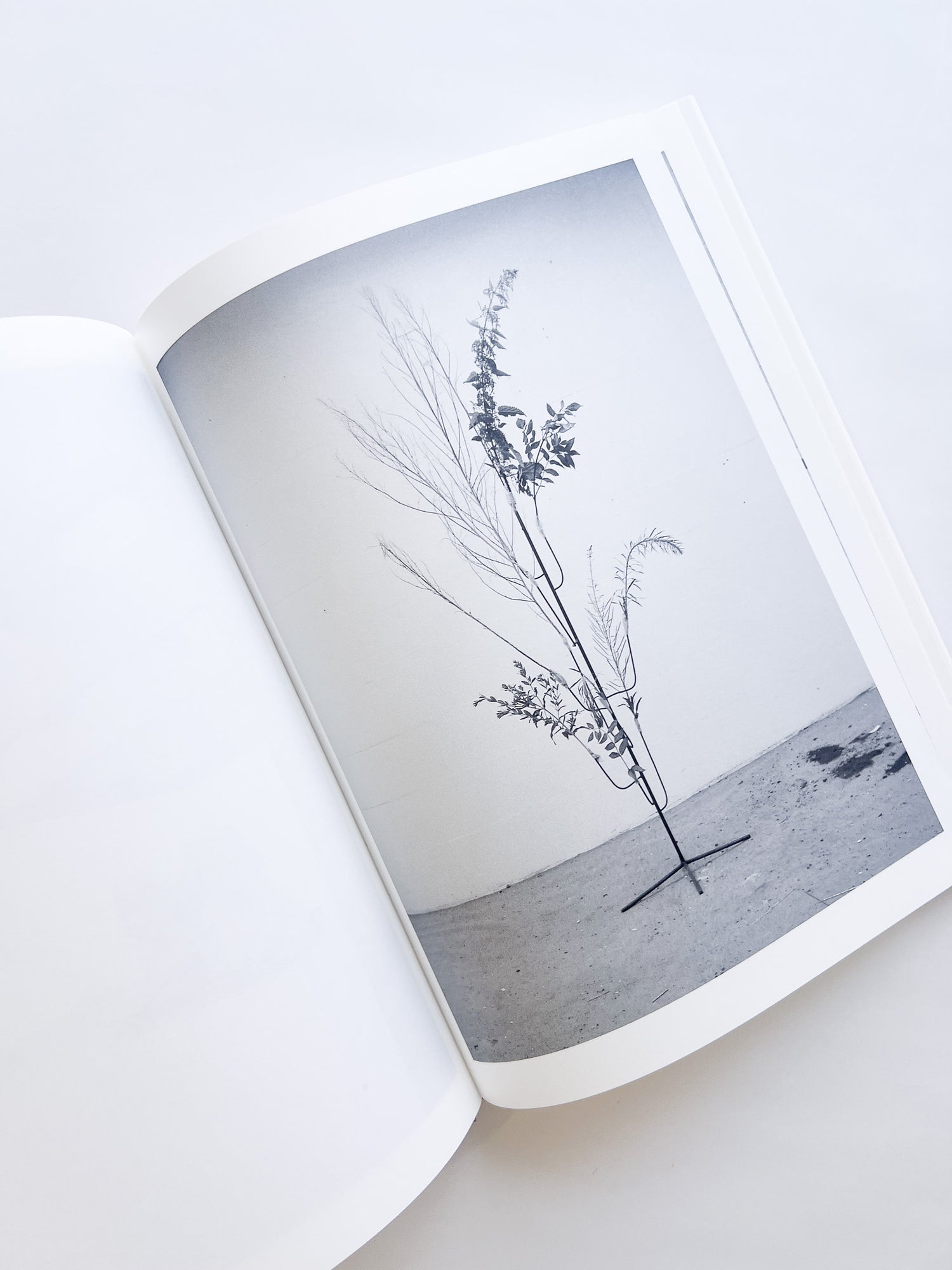 Studio Snapshots / Mark Manders