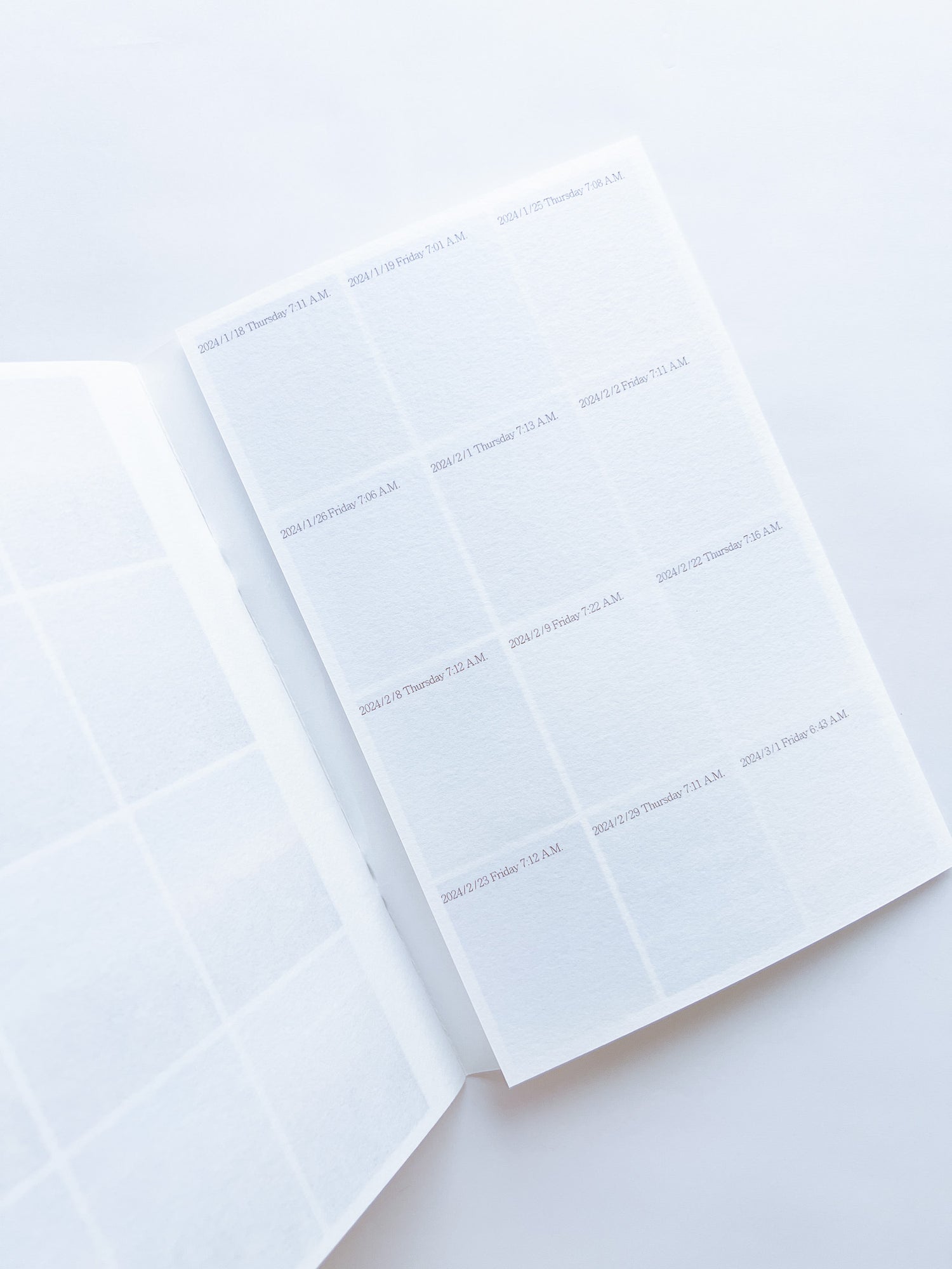 I wake up at 6:45 A.M. 2 days every week to teach, and this is the view from my window before I turn on my laptop. / Joyce Shi