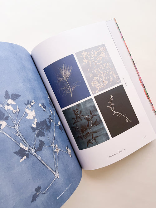 Blumenhaus magazine Issue6