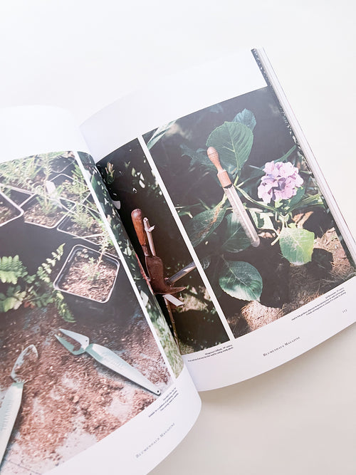 Blumenhaus magazine Issue6