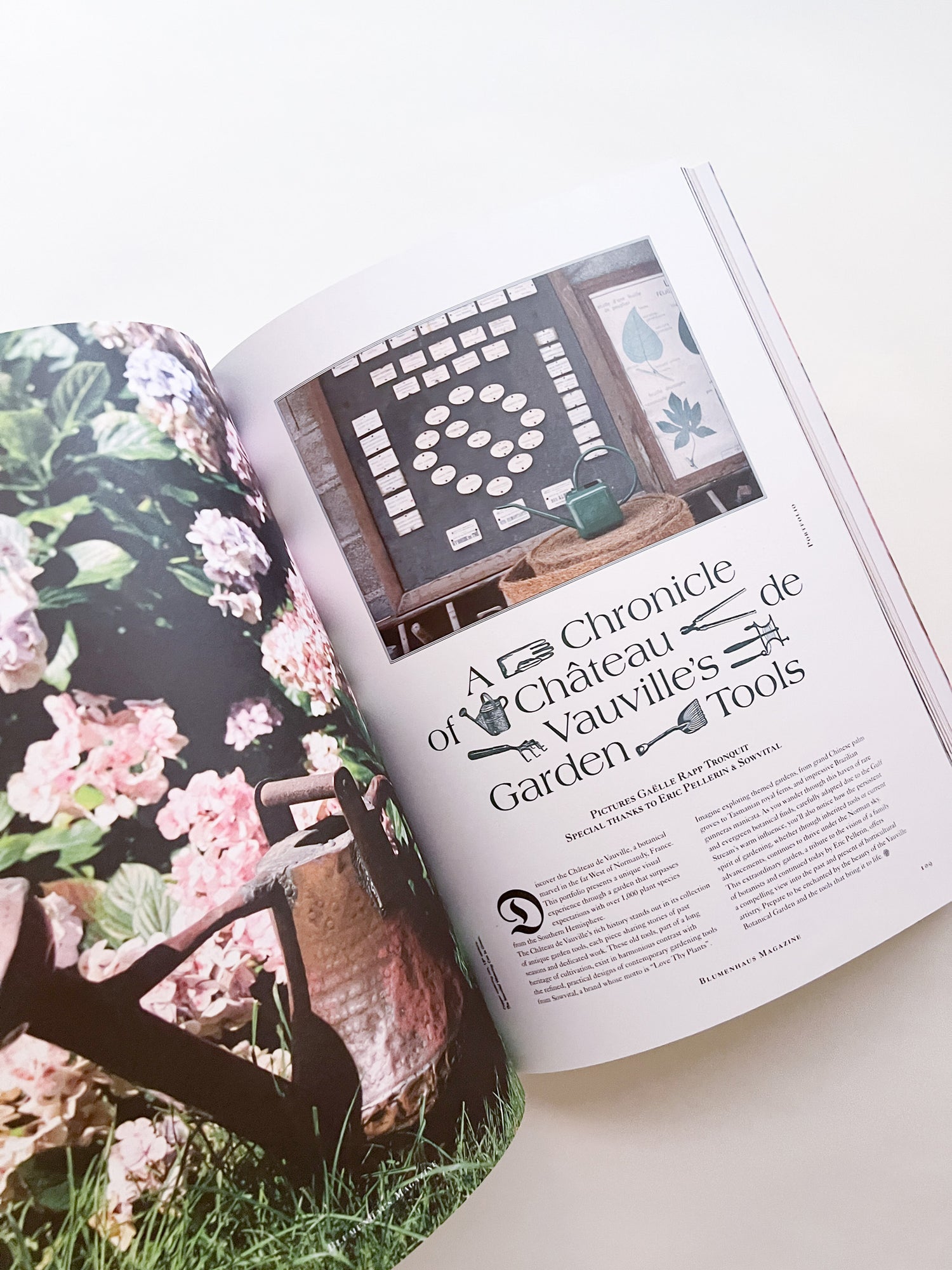 Blumenhaus magazine Issue6