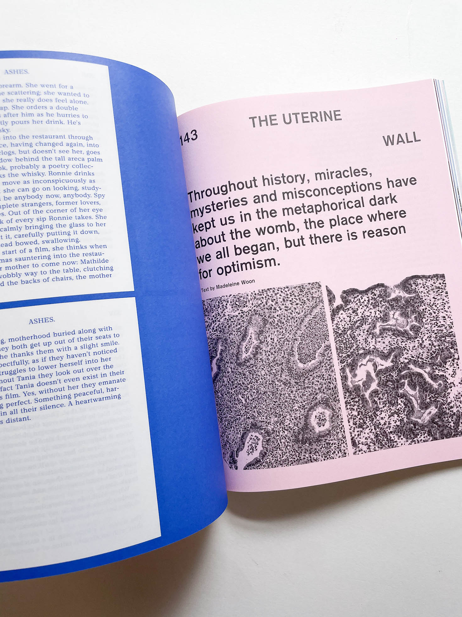 MacGuffin 14: The Wall