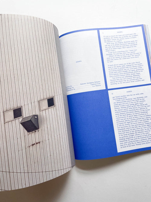 MacGuffin 14: The Wall