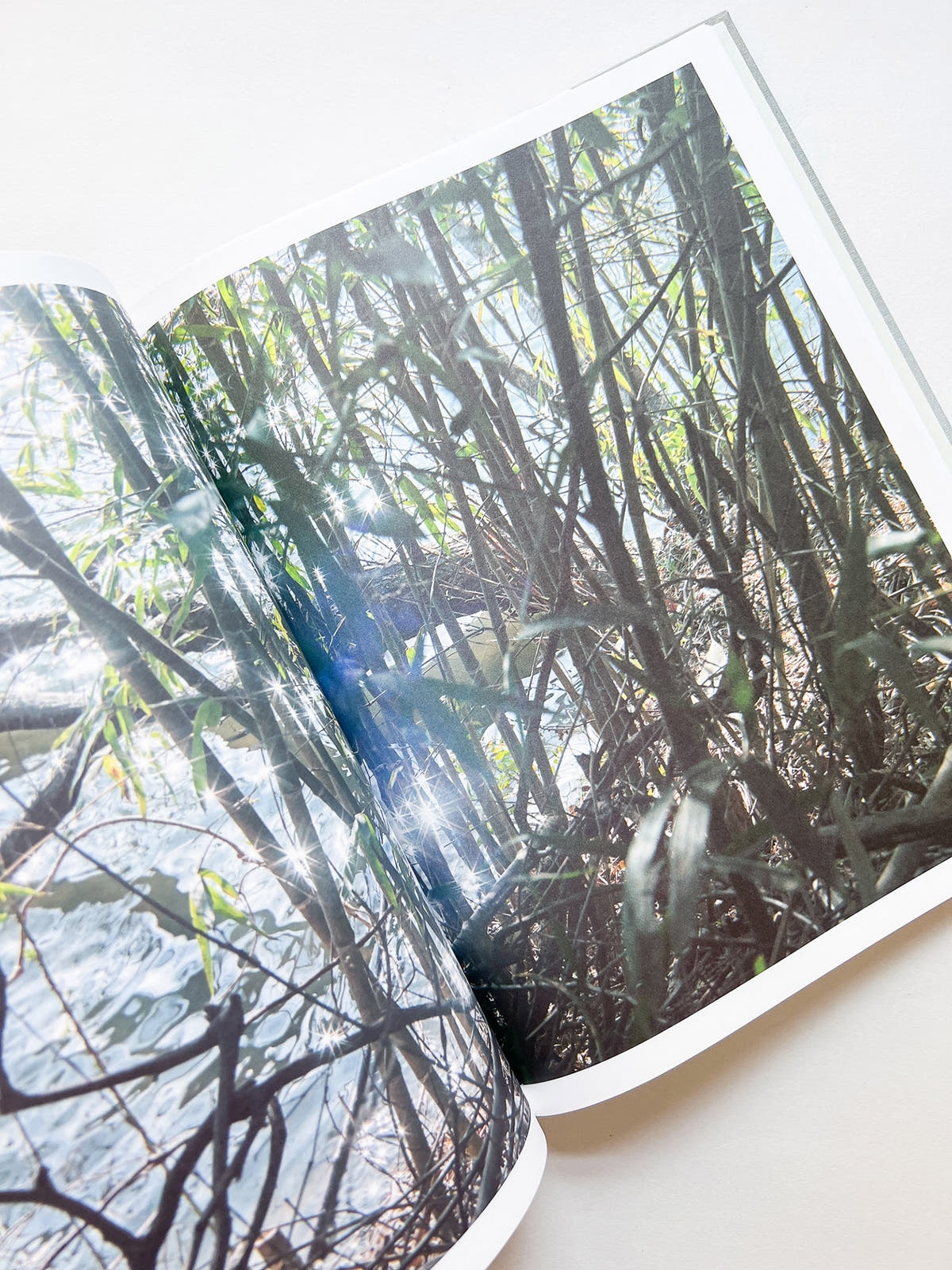 M/E / Rinko Kawauchi [SIGNED]