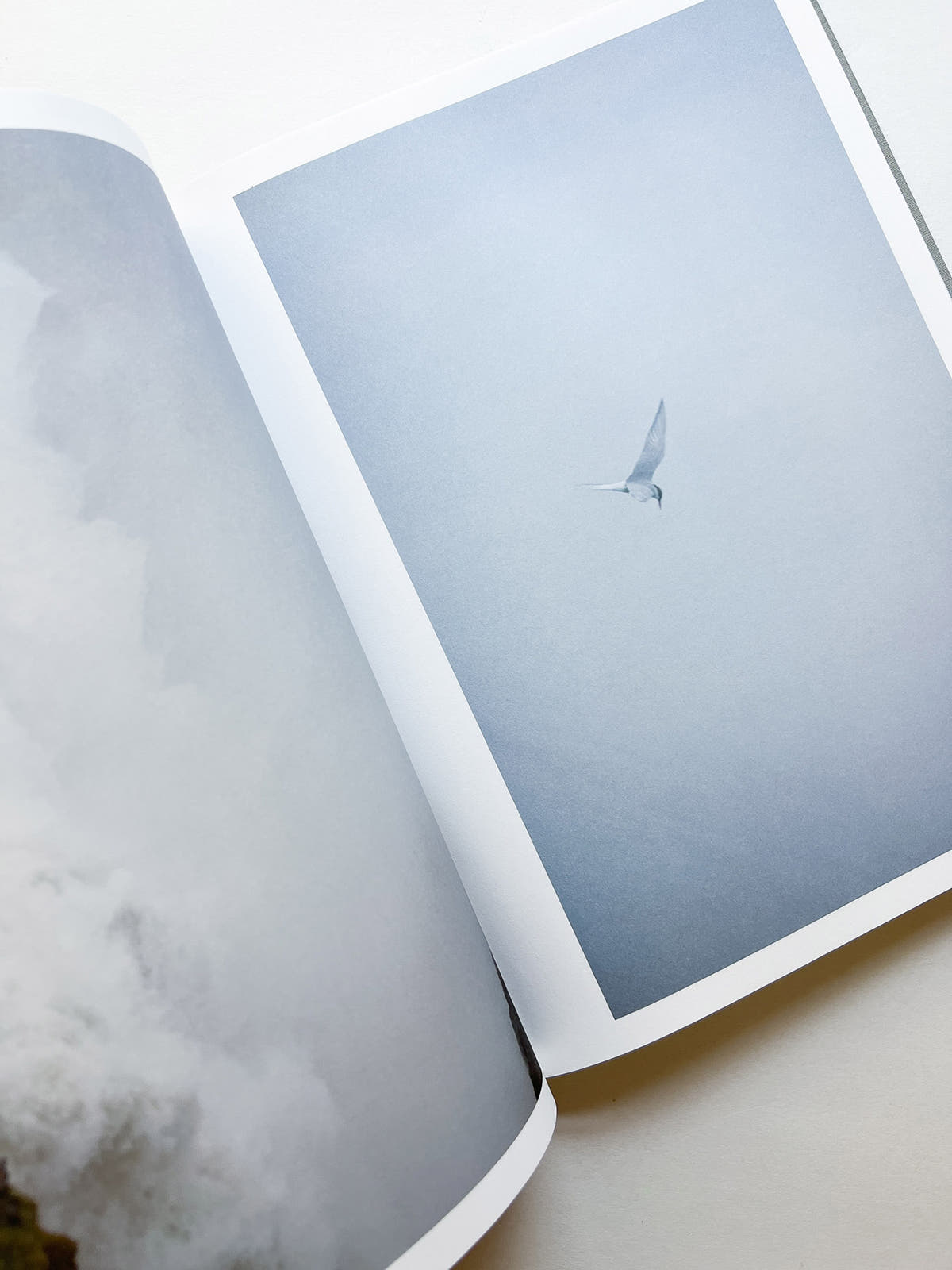 M/E / Rinko Kawauchi [SIGNED]