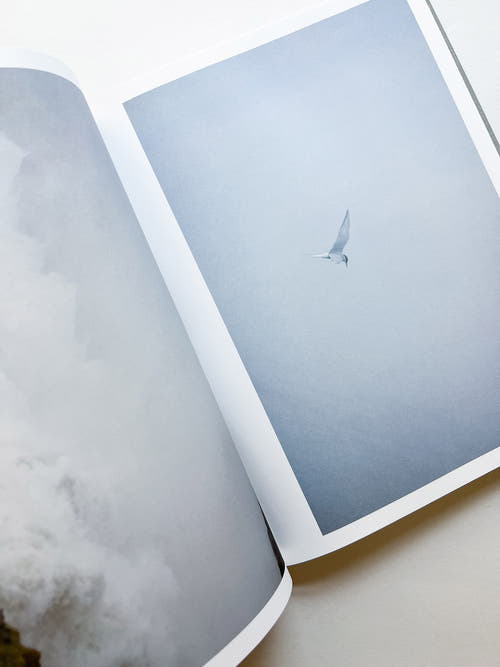 M/E / Rinko Kawauchi [SIGNED]