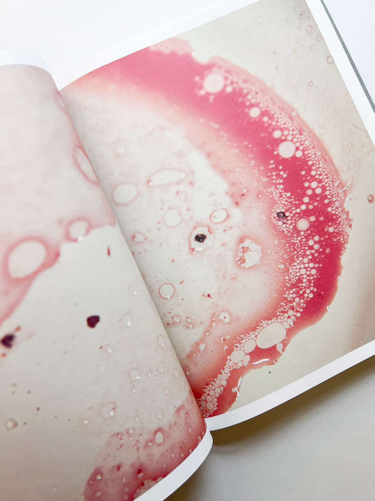 M/E / Rinko Kawauchi [SIGNED]