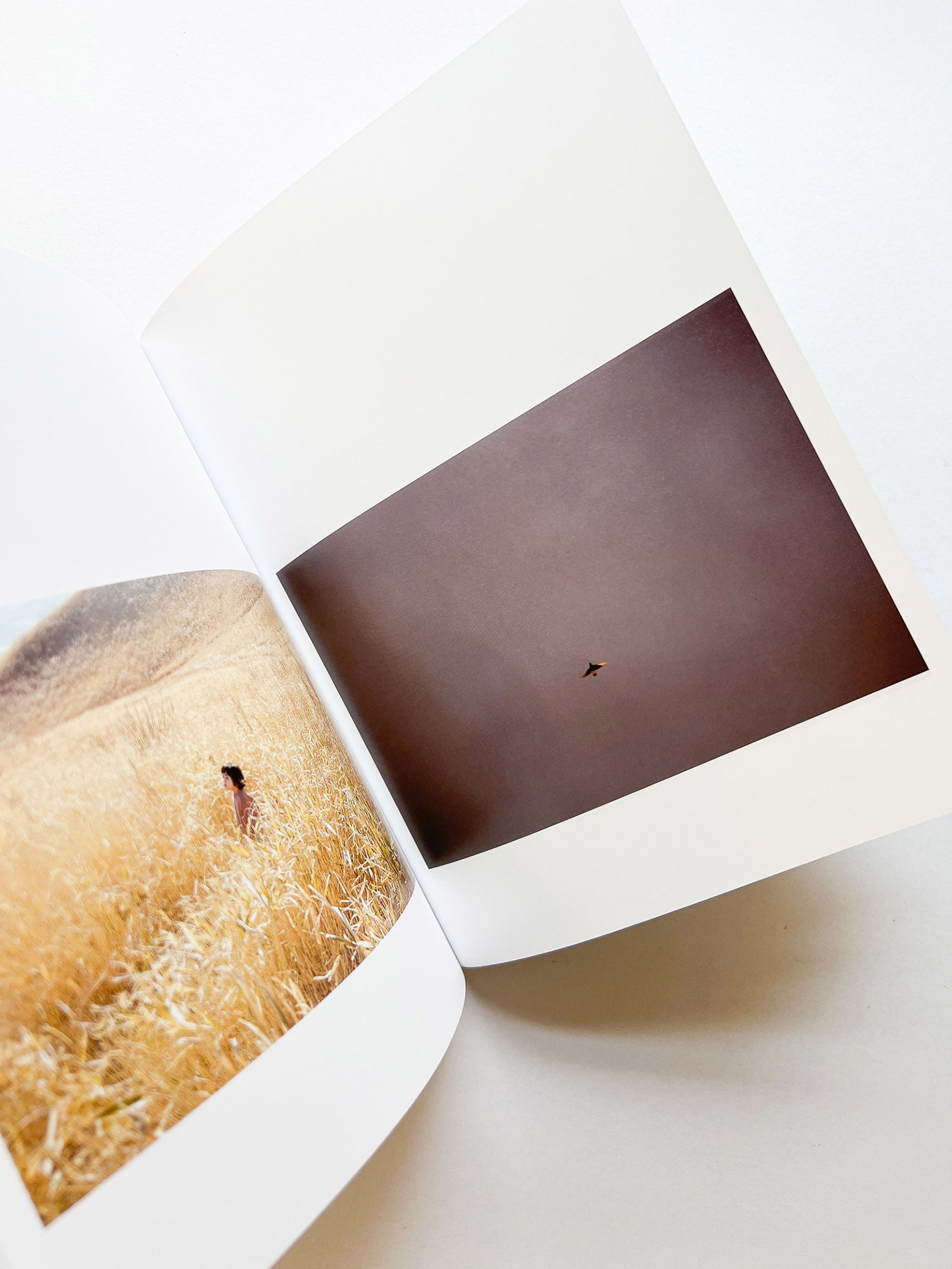 as it is / Rinko Kawauchi [SIGNED]