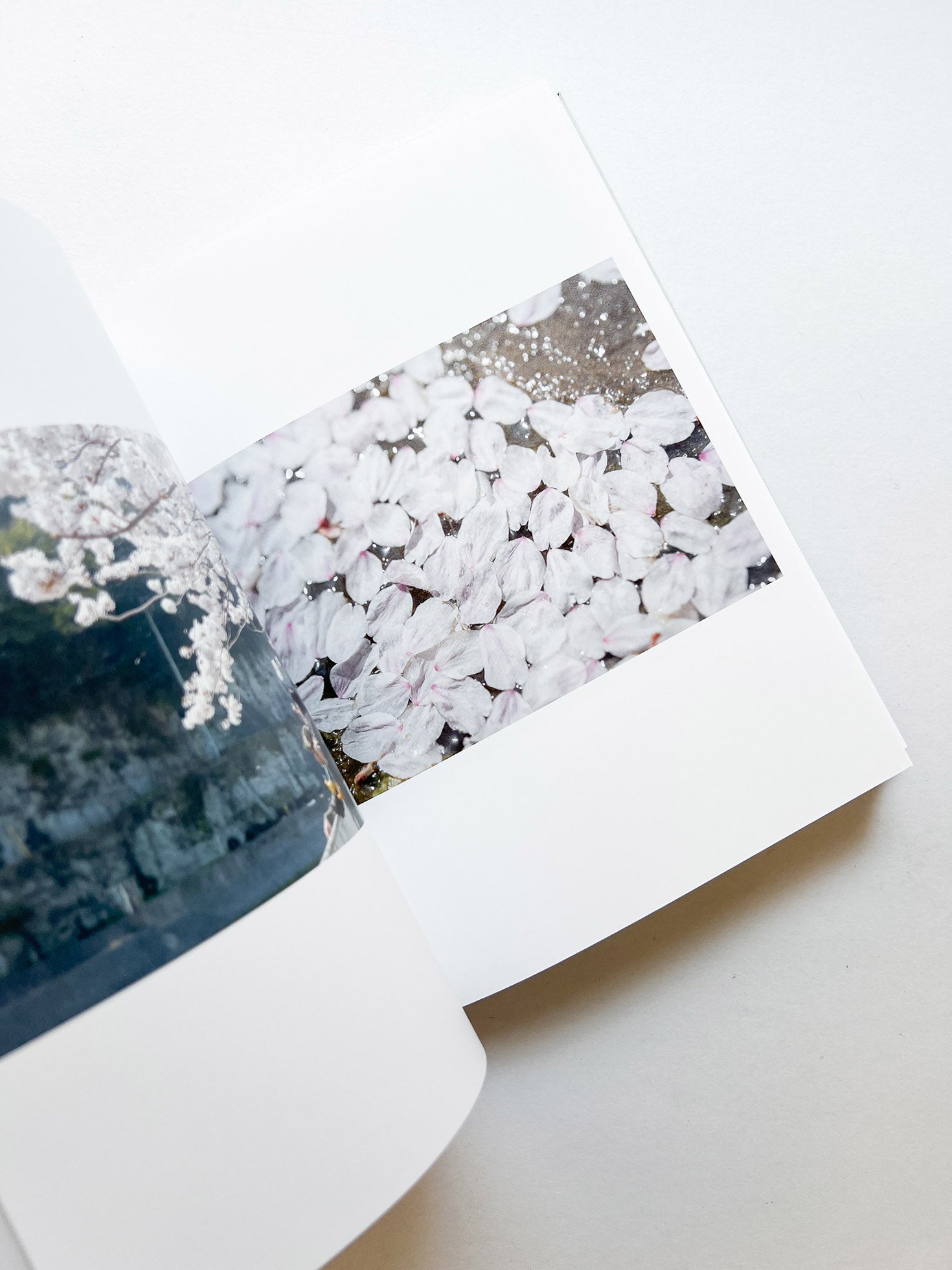as it is / Rinko Kawauchi [SIGNED]