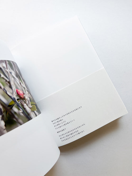 as it is / Rinko Kawauchi [SIGNED]