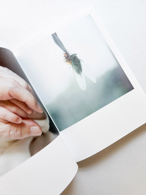 as it is / Rinko Kawauchi [SIGNED]