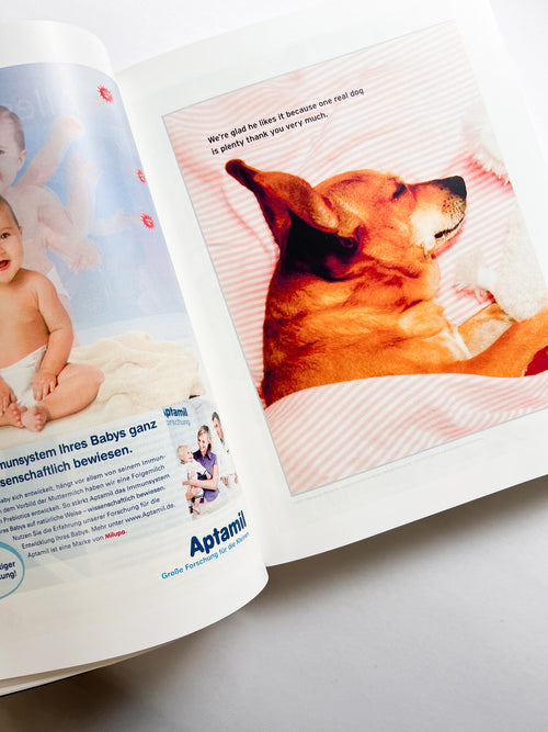 Sonne, Mond und Sterne / Peter Fischli & David Weiss