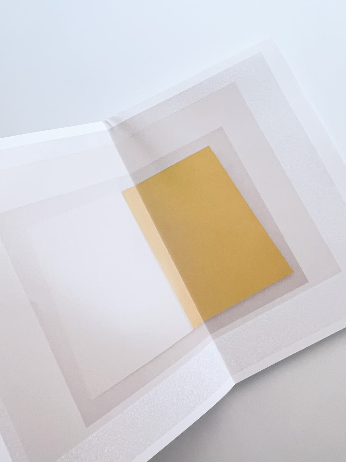 Common Face / Shusaku Yoshikawa