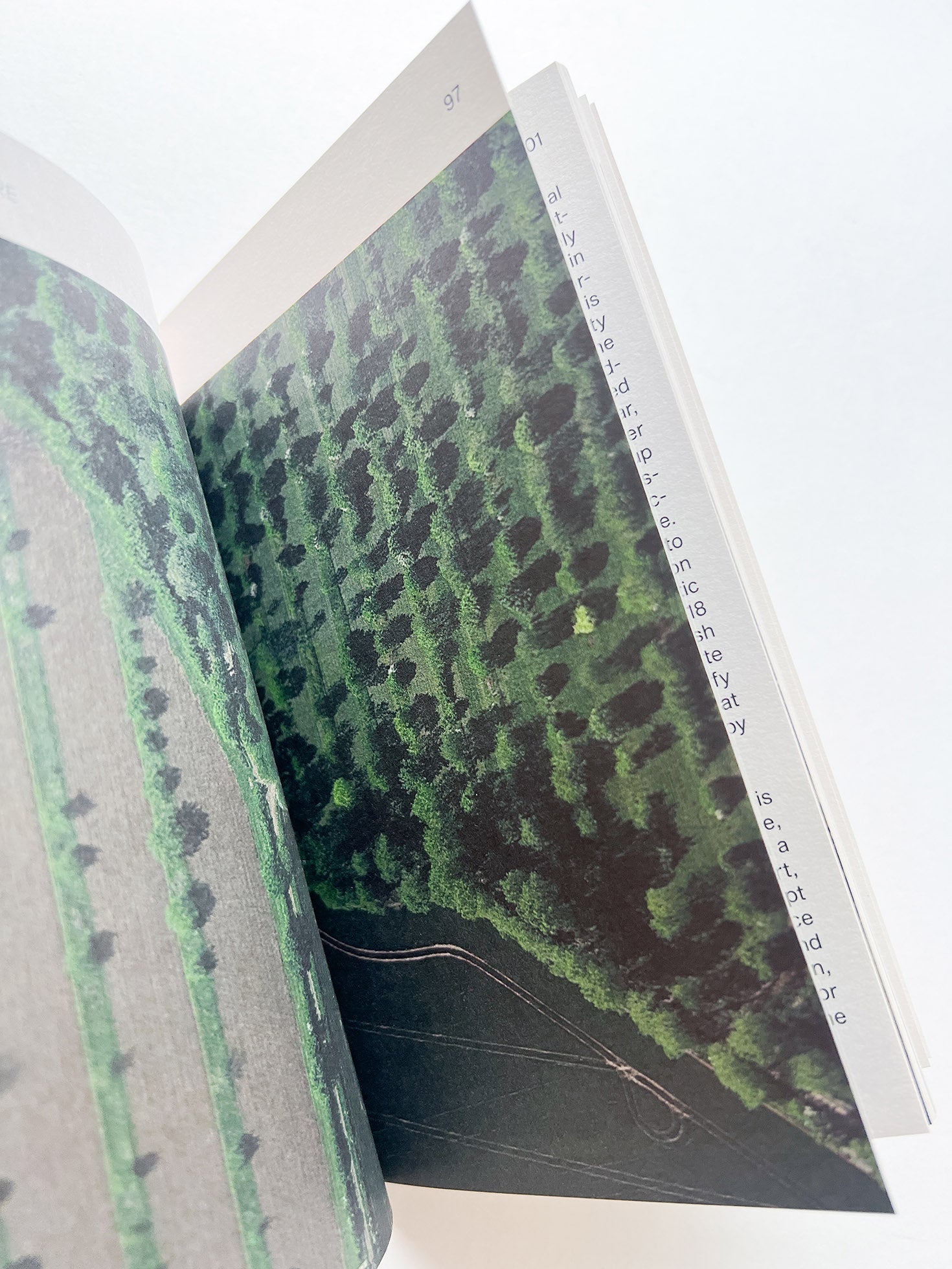 MATERIAL REFORM: BUILDING FOR A POST-CARBON FUTURE / Material Cultures (2024)