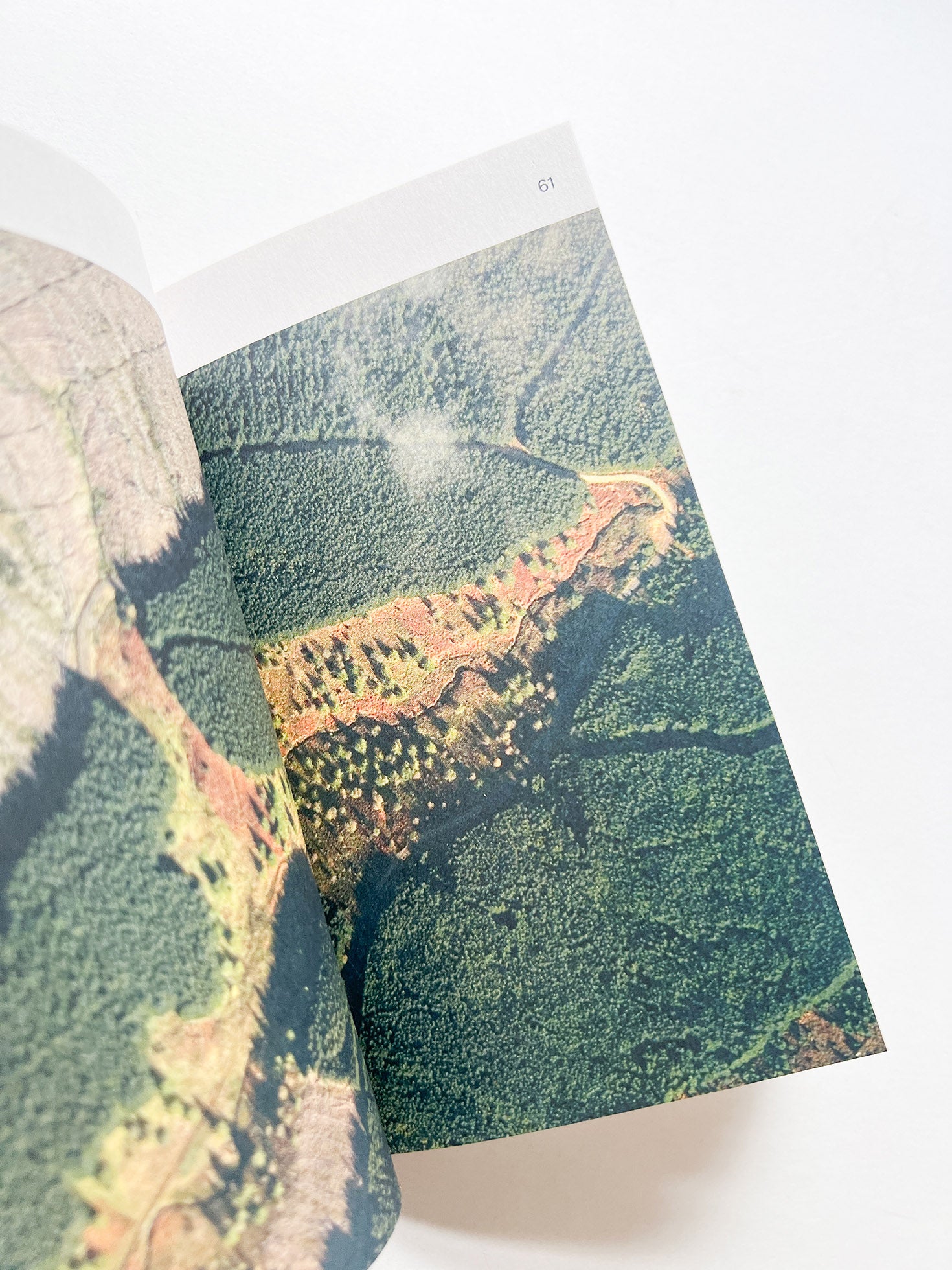 MATERIAL REFORM: BUILDING FOR A POST-CARBON FUTURE / Material Cultures (2024)