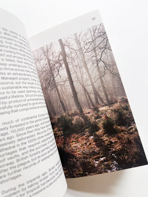 MATERIAL REFORM: BUILDING FOR A POST-CARBON FUTURE / Material Cultures (2024)