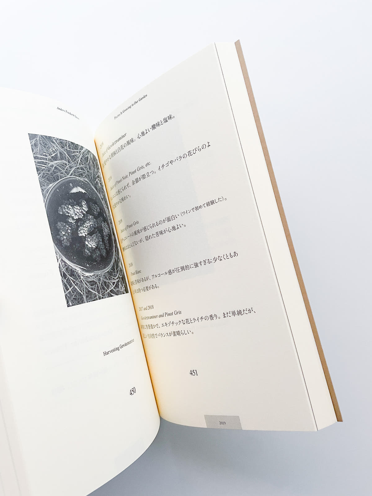 POETRY IS GROWING IN OUR GARDEN / Anders Frederik Steen [JAPANESE EDITION]