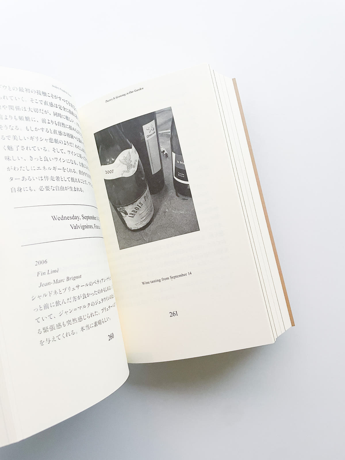 POETRY IS GROWING IN OUR GARDEN / Anders Frederik Steen [JAPANESE EDITION]