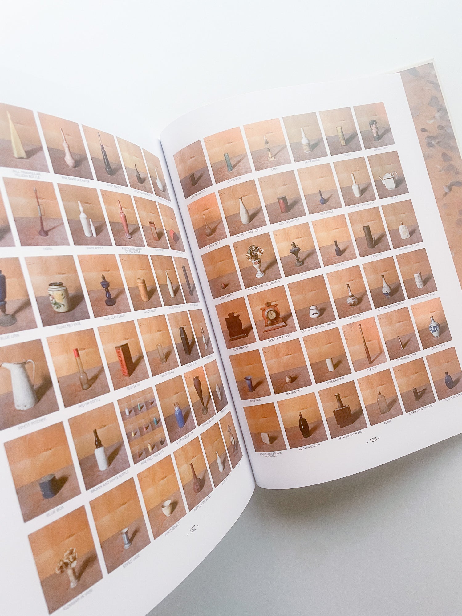 MORANDI'S OBJECTS. THE COMPLETE ARCHIVE OF CASA MORANDI / Joel Meyerowitz