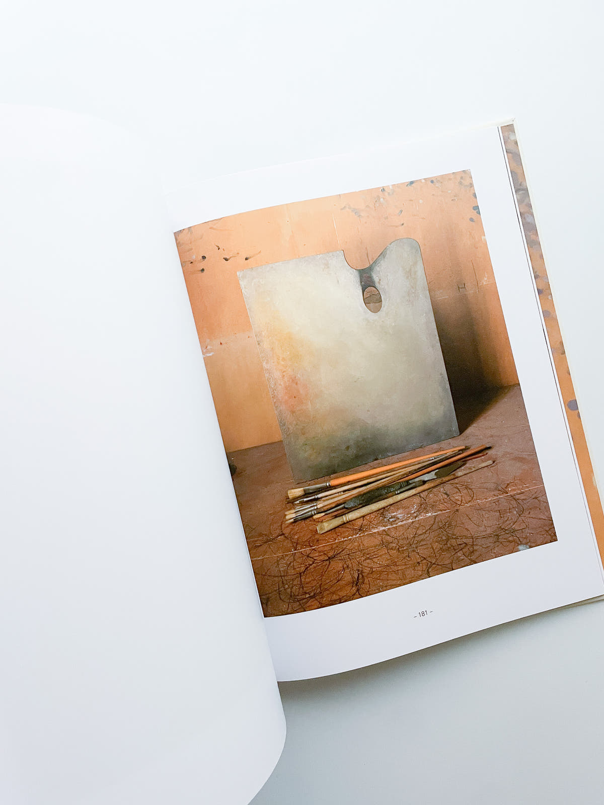 MORANDI'S OBJECTS. THE COMPLETE ARCHIVE OF CASA MORANDI / Joel Meyerowitz