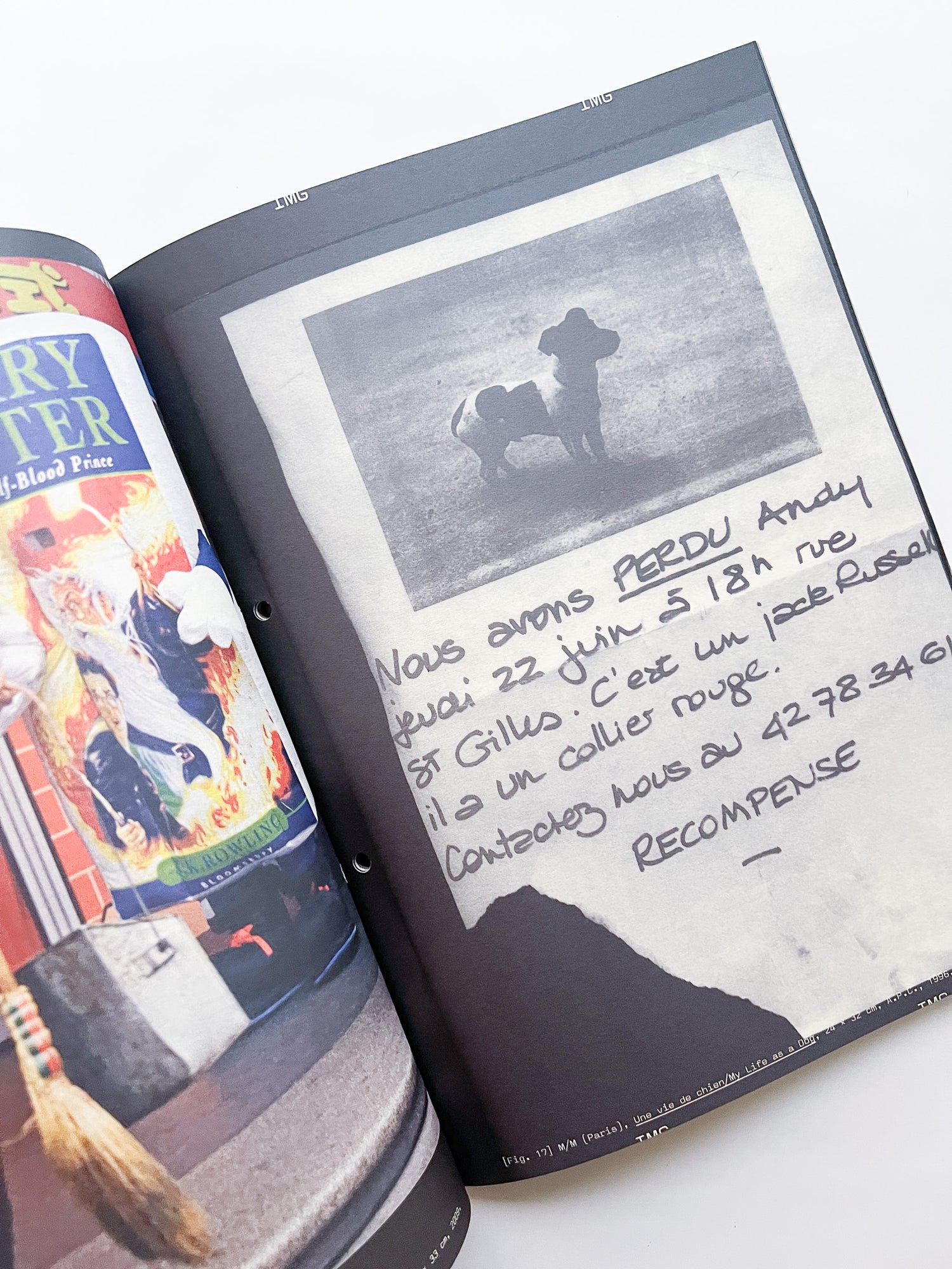 Revue Faire n°53 — Graphic Designers as Iconographers