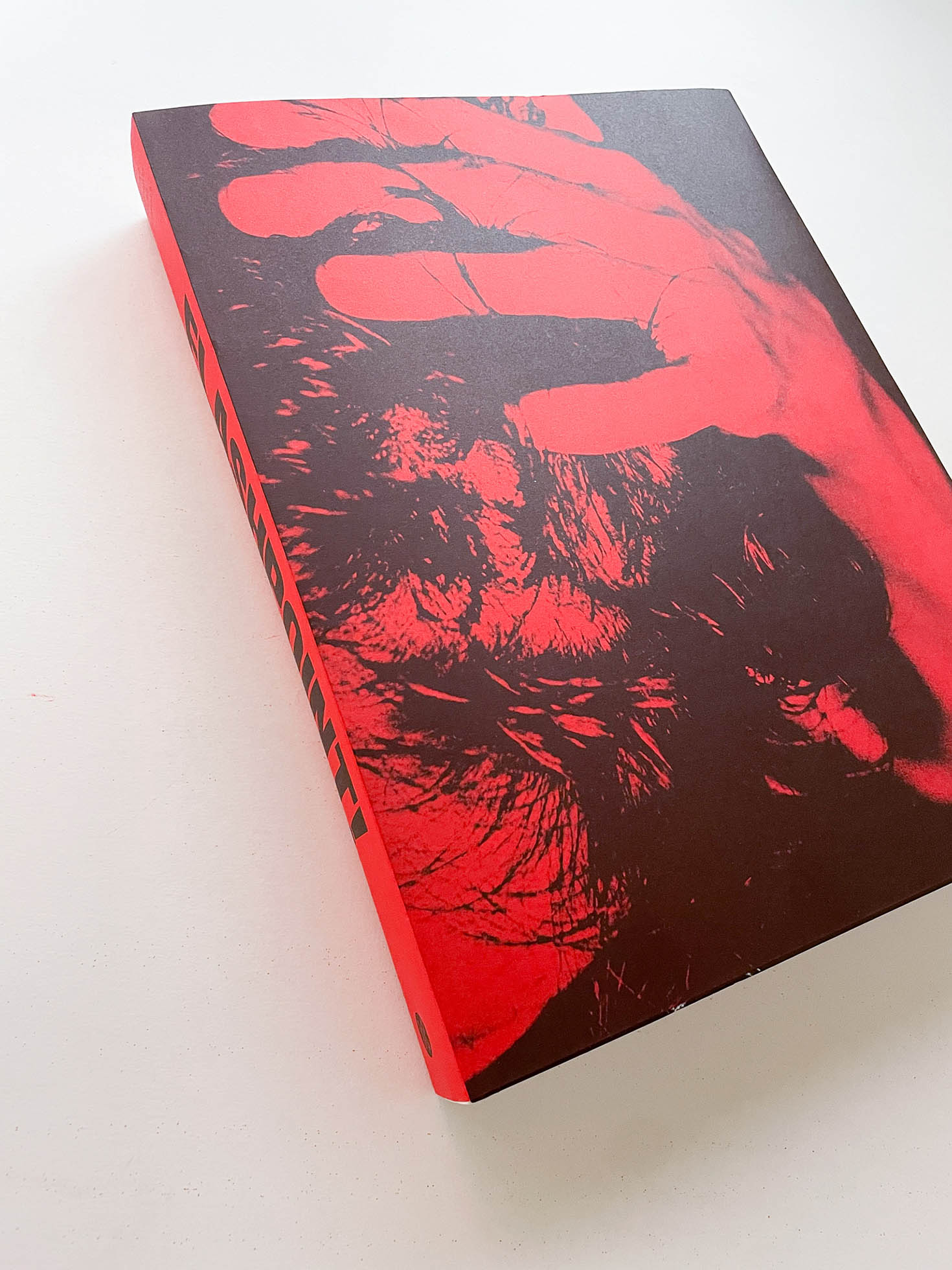 Flashpoint! Protest Photography in Print, 1950-Present