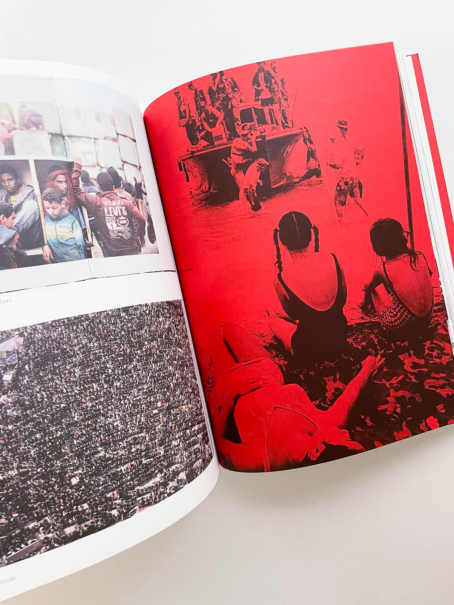 Flashpoint! Protest Photography in Print, 1950-Present
