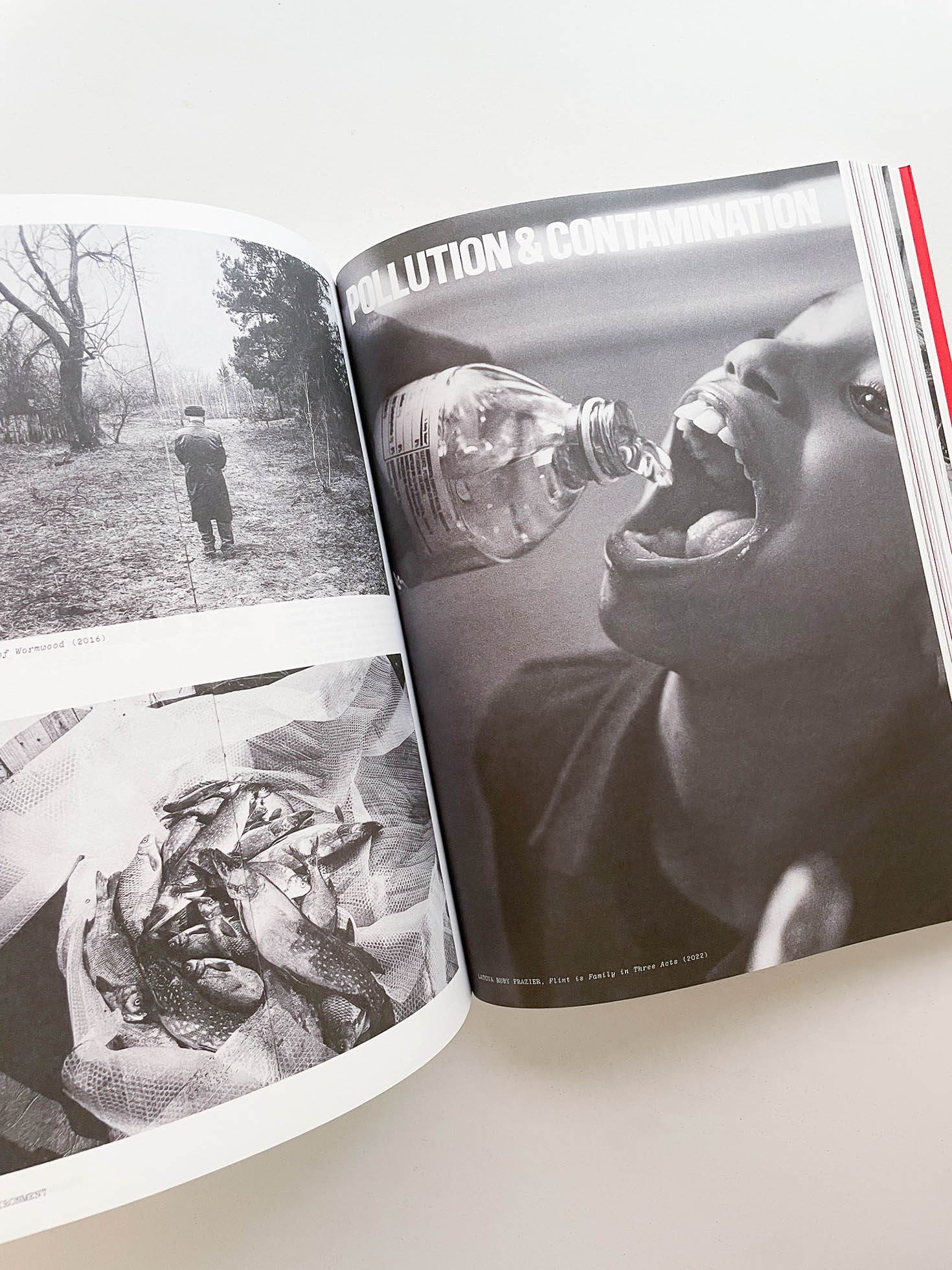 Flashpoint! Protest Photography in Print, 1950-Present