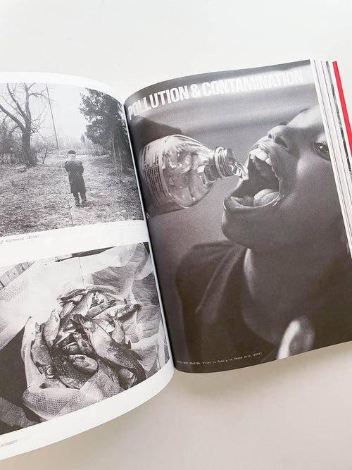 Flashpoint! Protest Photography in Print, 1950-Present