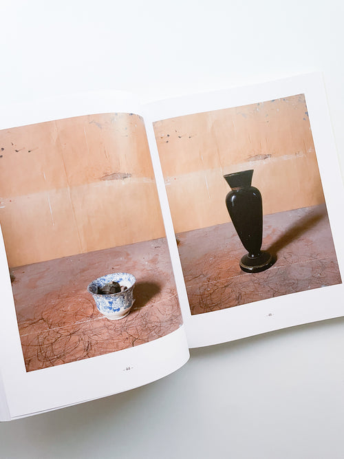 MORANDI'S OBJECTS. THE COMPLETE ARCHIVE OF CASA MORANDI / Joel Meyerowitz