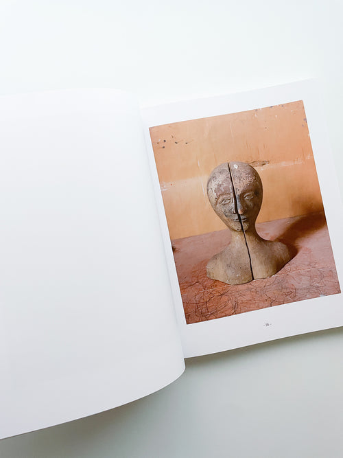 MORANDI'S OBJECTS. THE COMPLETE ARCHIVE OF CASA MORANDI / Joel Meyerowitz