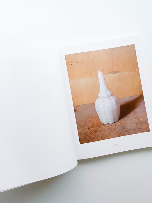 MORANDI'S OBJECTS. THE COMPLETE ARCHIVE OF CASA MORANDI / Joel Meyerowitz