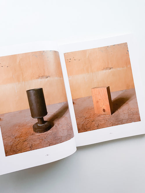 MORANDI'S OBJECTS. THE COMPLETE ARCHIVE OF CASA MORANDI / Joel Meyerowitz