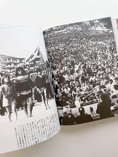 Flashpoint! Protest Photography in Print, 1950-Present