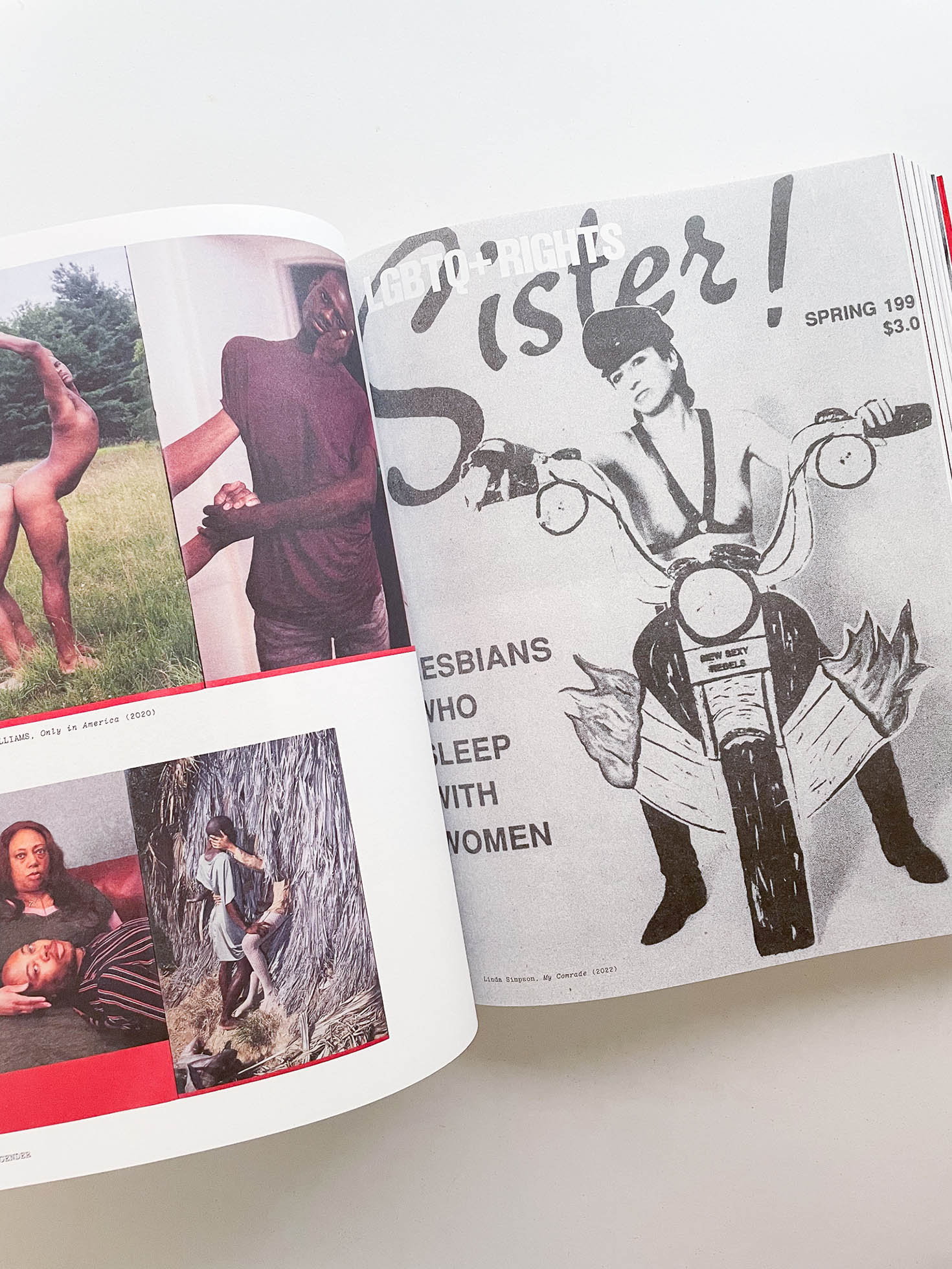 Flashpoint! Protest Photography in Print, 1950-Present