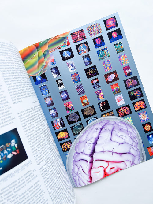 Revue Faire n°44 — A conundrum: the visual communication of neuroscience