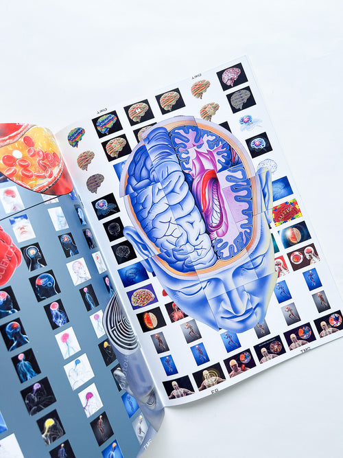 Revue Faire n°44 — A conundrum: the visual communication of neuroscience