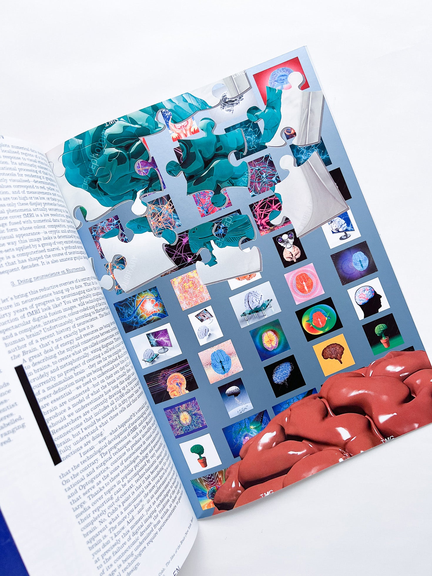 Revue Faire n°44 — A conundrum: the visual communication of neuroscience