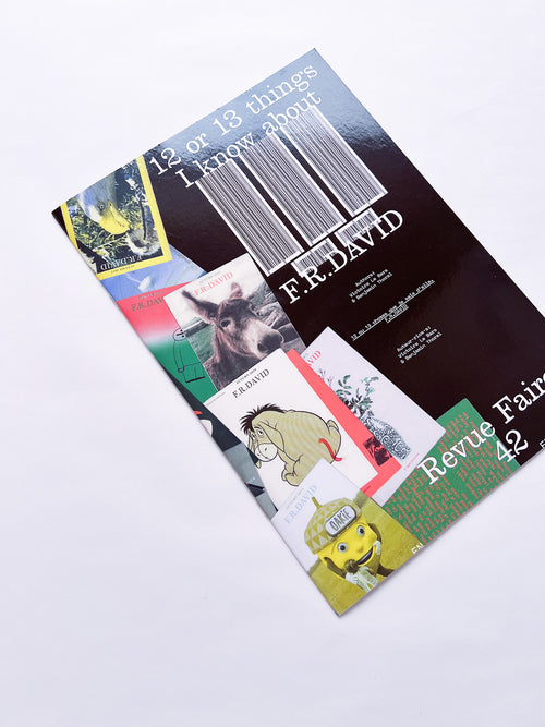 Revue Faire n°42 — 12 ou 13 things I know about: F.R.DAVID