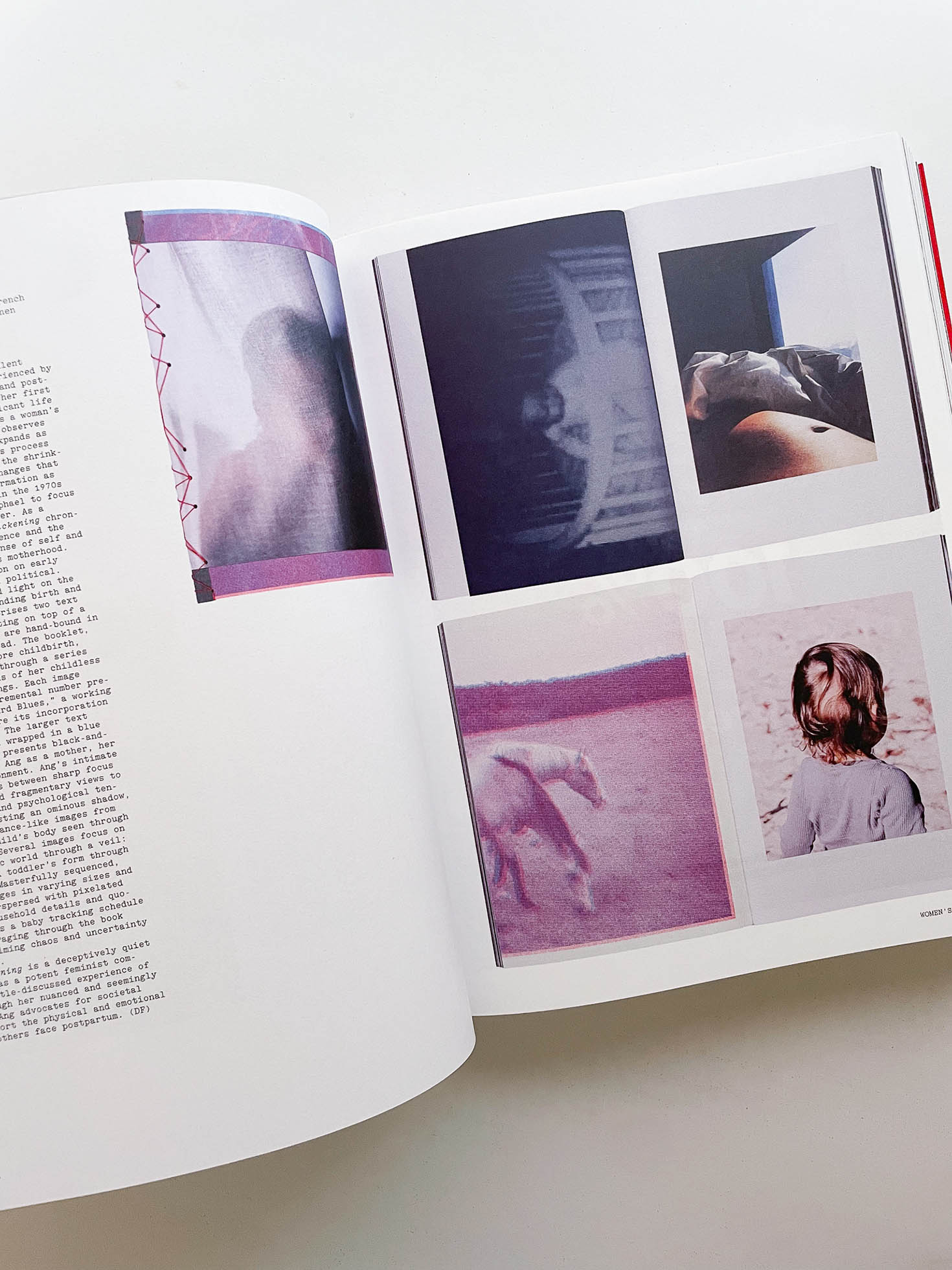 Flashpoint! Protest Photography in Print, 1950-Present