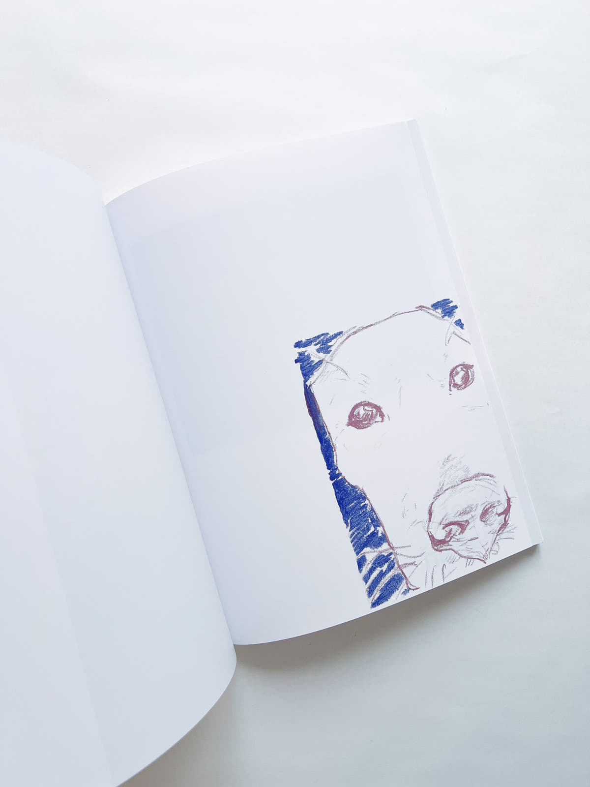 asia issue 01