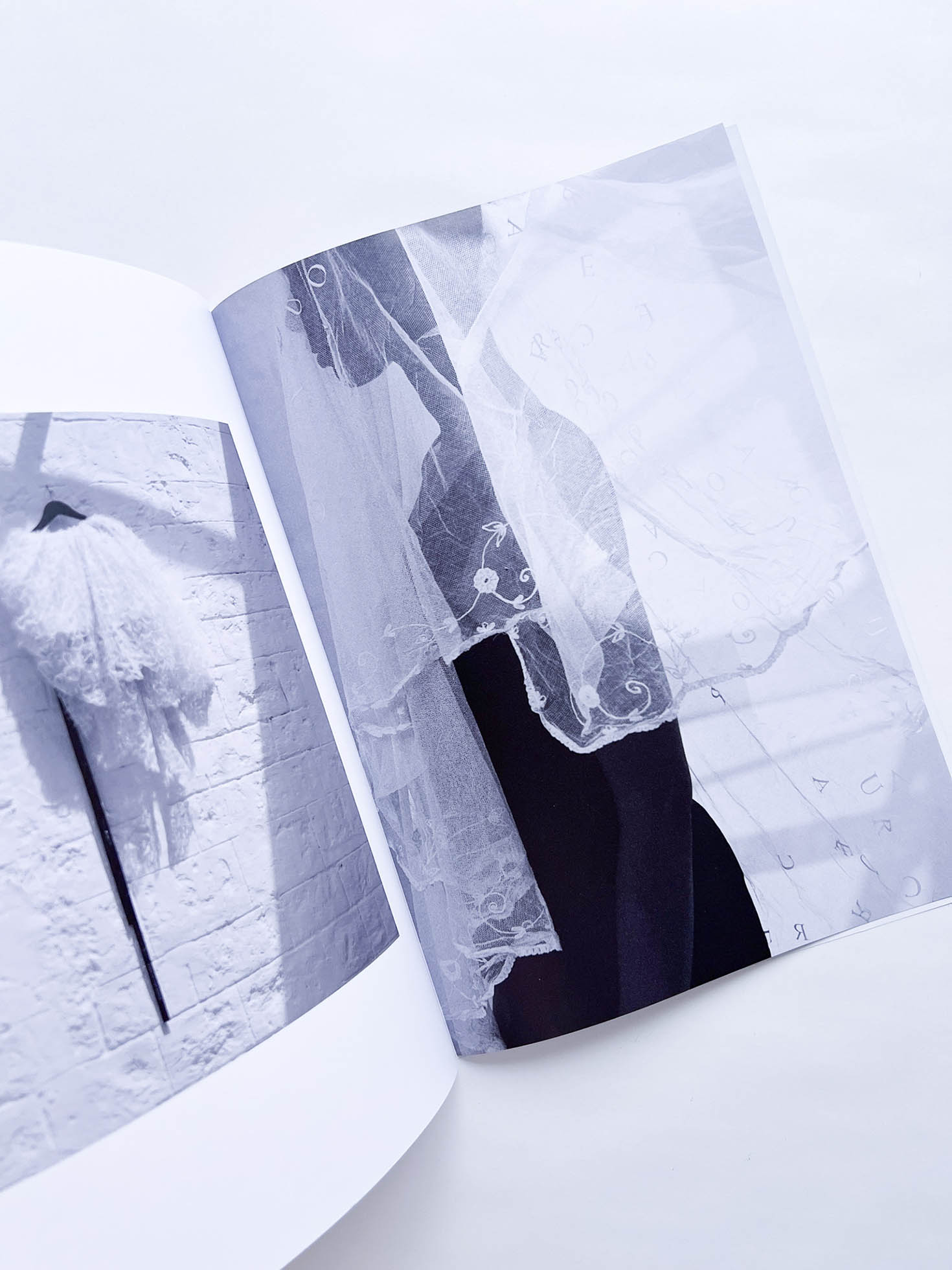 STUDY MAGAZINE VOLUME 12